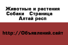 Животные и растения Собаки - Страница 5 . Алтай респ.